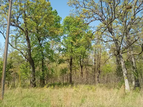 000 Timber Cir, Tunas, MO 65764 photo 11