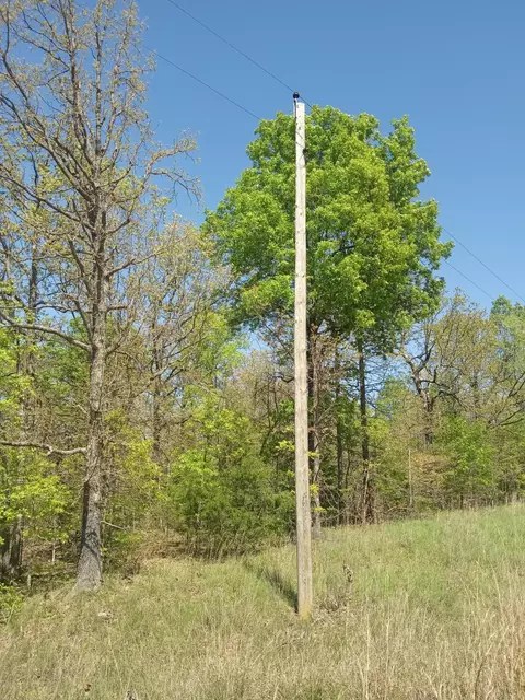 000 Timber Cir, Tunas, MO 65764 photo 15