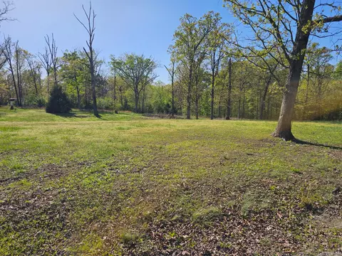 000 Goldfinch Rd, Marshfield, MO 65706 photo 3