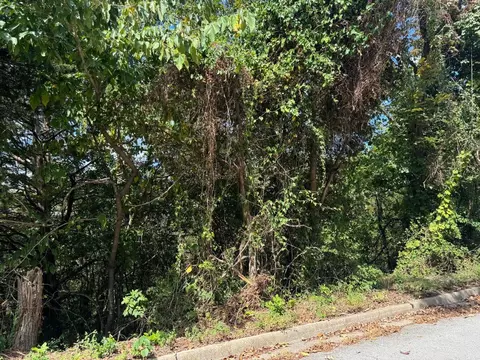 lot22 Rose Oneill Dr, Branson, MO 65616