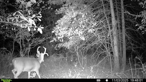 000 E 1300 Rd, Stockton, MO 65785