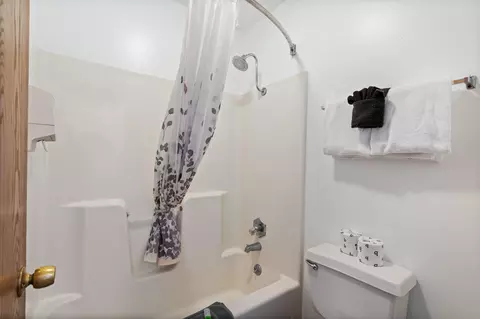 Bath - 982 Indian Point Rd #230, Branson, MO 65616 photo 2 of 5