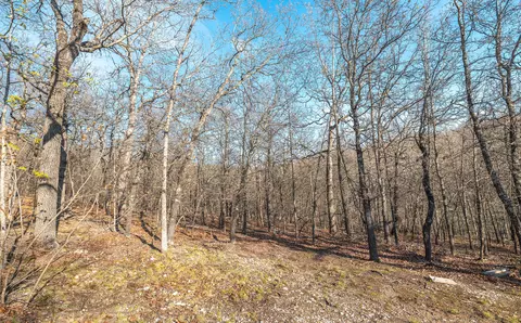 83 Minx Valley Dr, Roach, MO 65787 photo 19