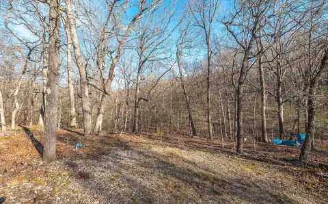 83 Minx Valley Dr, Roach, MO 65787 photo 20