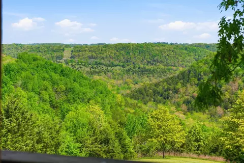 Other - 358 Spring View Pl, Reeds Spring, MO 65737 photo 3 of 15