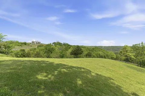 Exterior - 358 Spring View Pl, Reeds Spring, MO 65737 photo 18 of 23