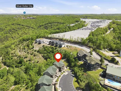 View/Area - 47 Stone Cliff Cir #1, Indian Point, MO 65616 photo 3 of 4
