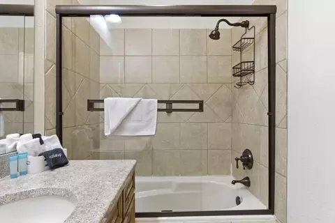 Bath - 47 Stone Cliff Cir #1, Indian Point, MO 65616 photo 4 of 4