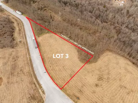 4165 W Wilderness St, Brookline, MO 65619