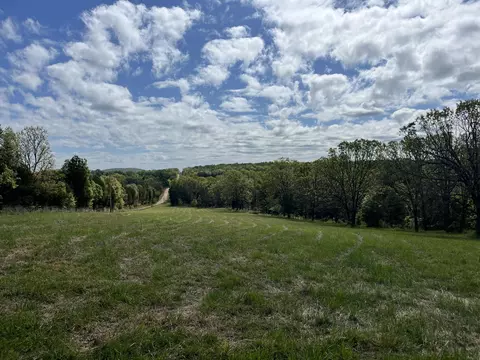 000 County Road 350, Drury, MO 65638 photo 2