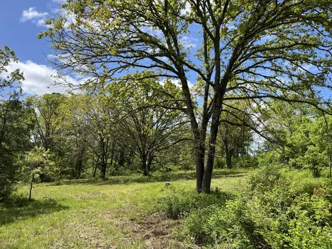 000 County Road 350, Drury, MO 65638 photo 10