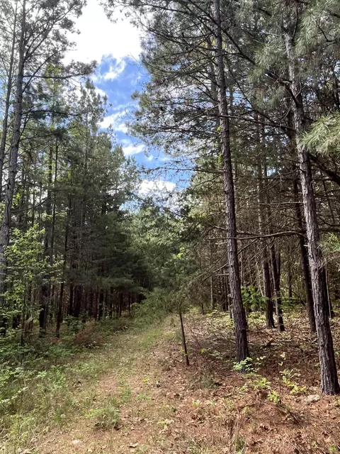 000 County Road 350, Drury, MO 65638 photo 8