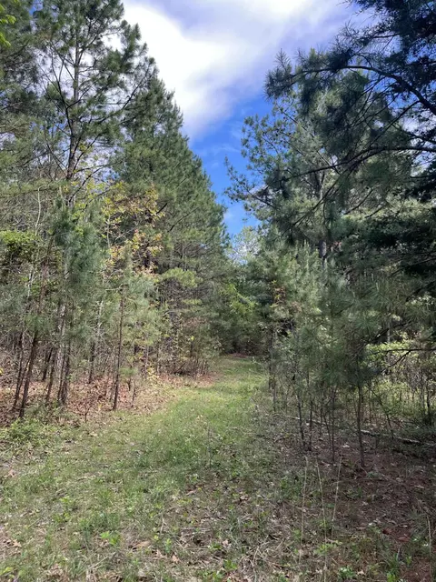 000 County Road 350, Drury, MO 65638 photo 7