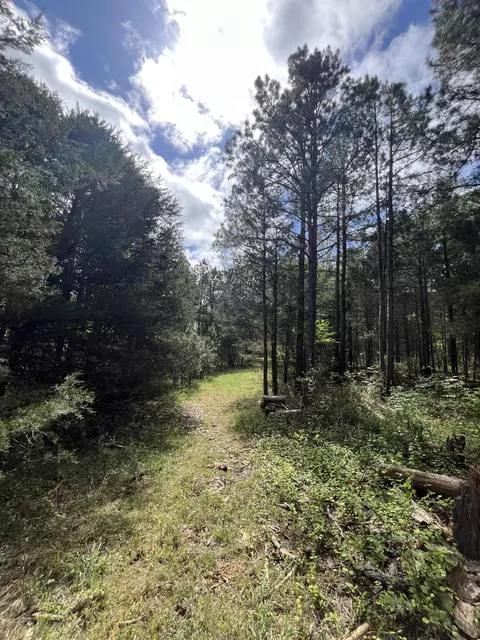 000 County Road 350, Drury, MO 65638 photo 6
