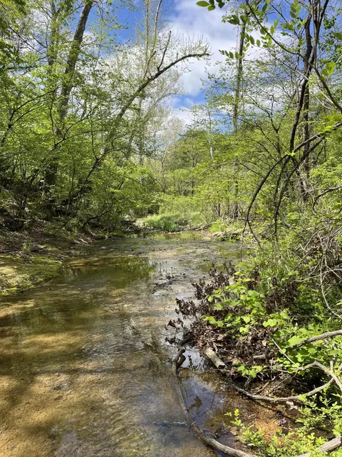 000 County Road 350, Drury, MO 65638 photo 12