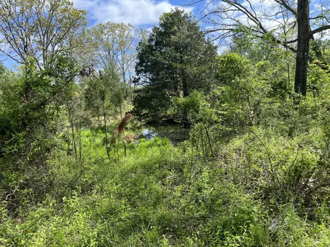 000 County Road 350, Drury, MO 65638 photo 17