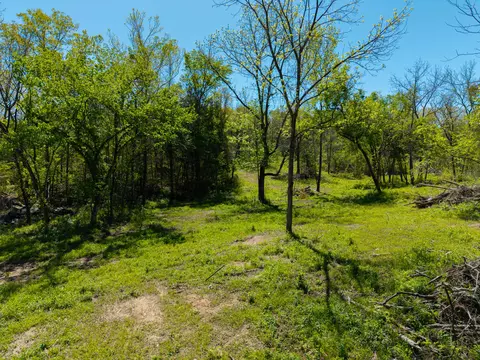 000 County Road 132, Wasola, MO 65773