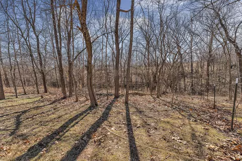 1963 S Oakview Ln, Nixa, MO 65714 photo 73