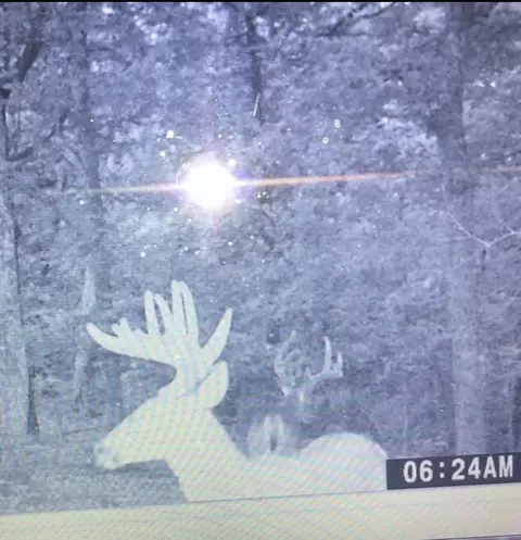 000 Nnn B Hwy, Sheldon, MO 64784 photo 15
