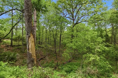 000 Nnn B Hwy, Sheldon, MO 64784 photo 18