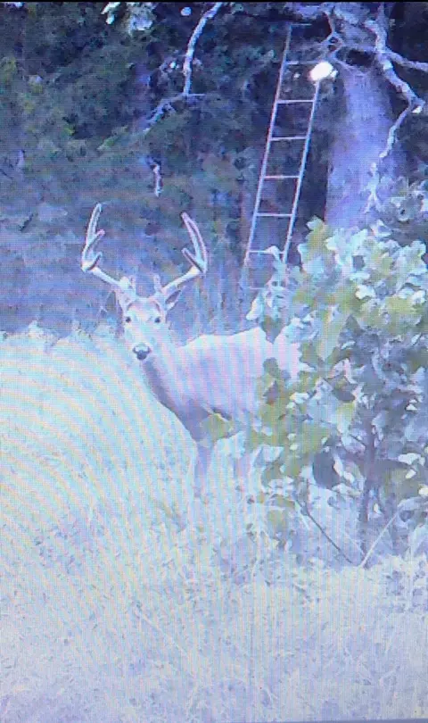 000 Nnn B Hwy, Sheldon, MO 64784 photo 14