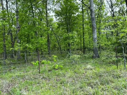 000 Nnn B Hwy, Sheldon, MO 64784 photo 9