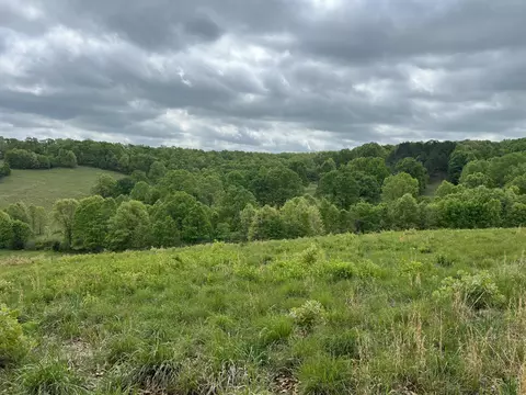 321 Missouri 5, Ava, MO 65608