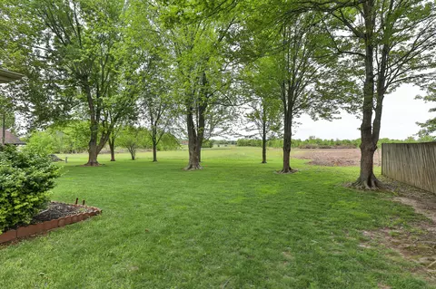 Exterior - 6726 W Dogwood St, Springfield, MO 65802 photo 8 of 11