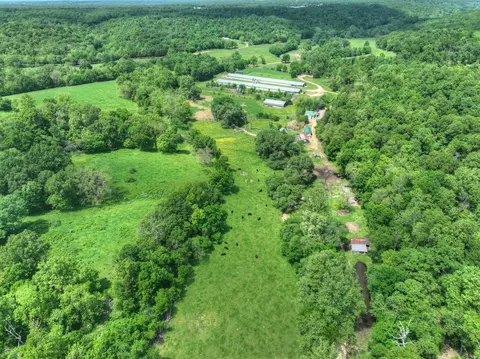 1648 Pack Rd, Noel, MO 64854 photo 19