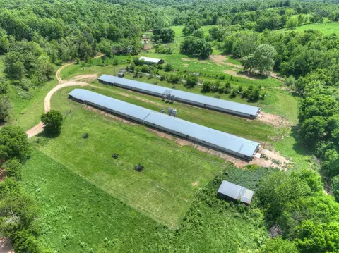 1648 Pack Rd, Noel, MO 64854 photo 29