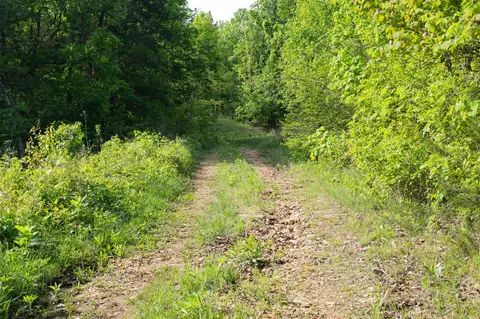 000 Terrace Ln, Cape Fair, MO 65624