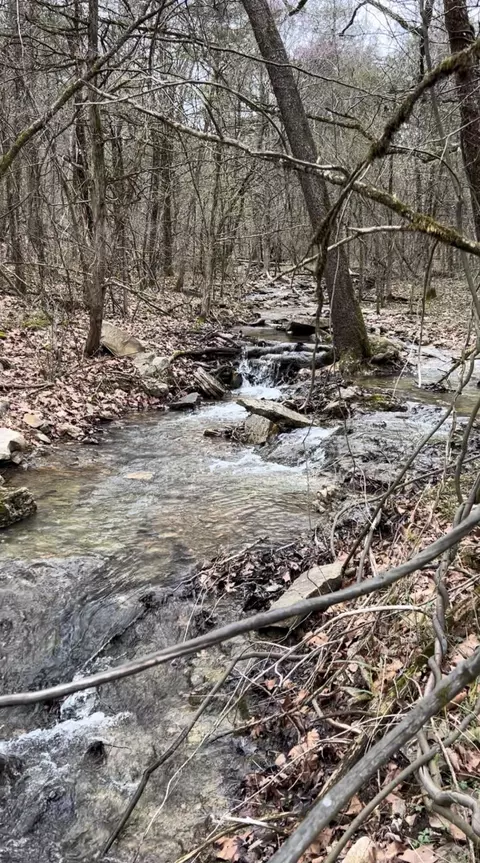 lot2 Woodland Lake Dr, Shell Knob, MO 65747 photo 18