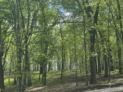 Tract 2 W Farm Road 36, Willard, MO 65781