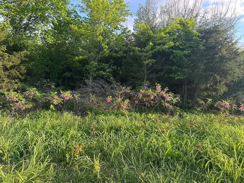 000 E 7th St, Duenweg, MO 64841 photo 6