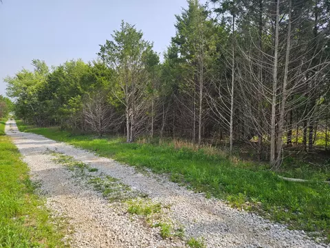 226 Lilac Tract E Ln #TRACT E, Rogersville, MO 65742