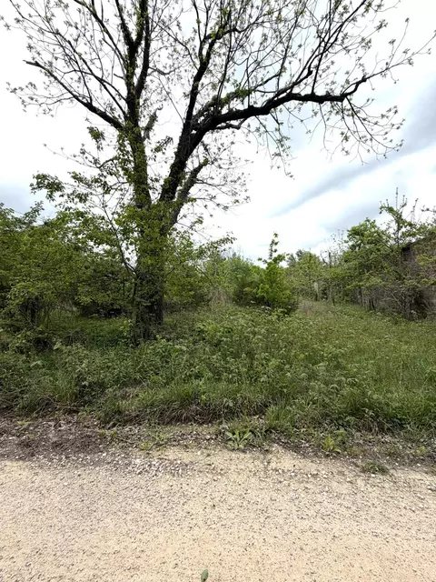 6919 County Road 665, Birch Tree, MO 65438