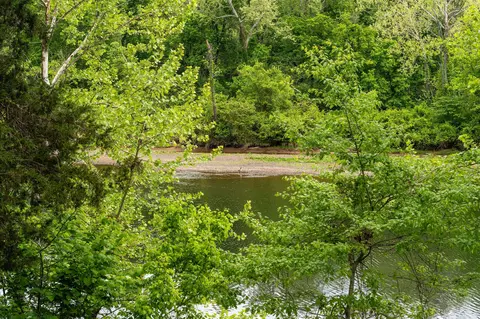 View/Area - 440 Fall Creek Dr #4, Branson, MO 65616 photo 4 of 7