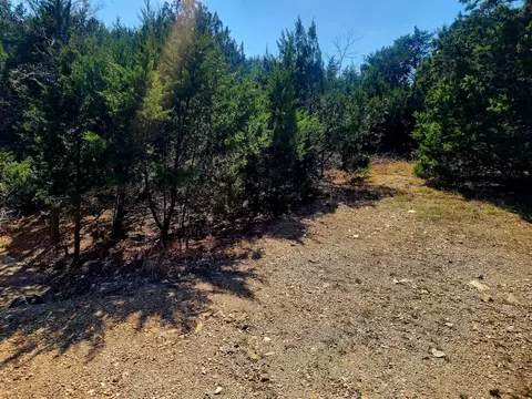 lot4 Blk Cedar Dr #LOT 4 BLK 9, Blue Eye, MO 65611