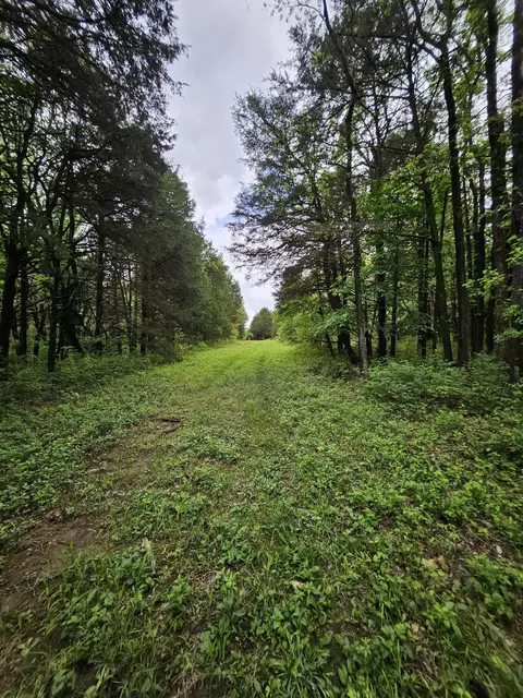 000 W Dade 2, Jerico Springs, MO 64756