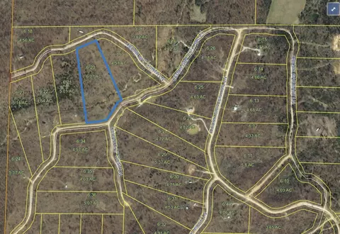 0000 Cedar Gap Central Ln, Mansfield, MO 65704 photo 2
