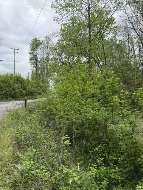 000 Eureka Ave, Seligman, MO 65745 photo 9