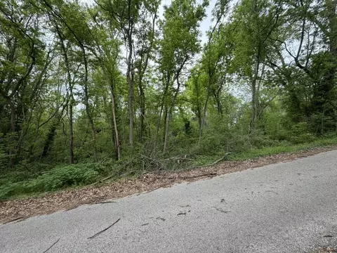000 Eureka Ave, Seligman, MO 65745 photo 6