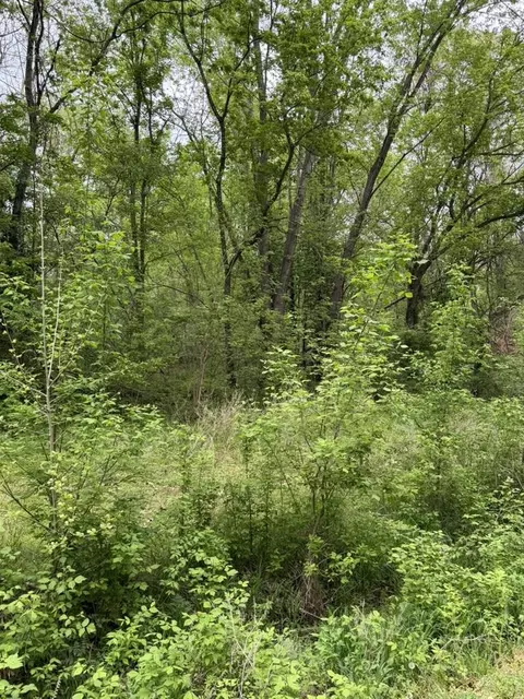 000 Eureka Ave, Seligman, MO 65745 photo 11