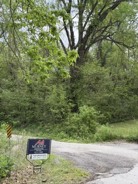 000 Eureka Ave, Seligman, MO 65745 photo 13