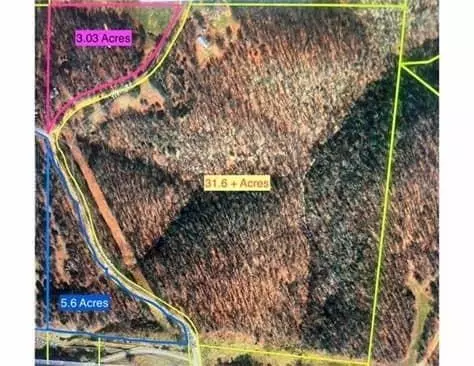 519 Trent Rd, Washburn, MO 65772