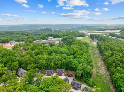 View/Area - 123 Willow Oak Ln, Branson, MO 65616 photo 5 of 8