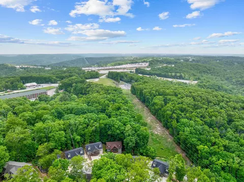 View/Area - 123 Willow Oak Ln, Branson, MO 65616 photo 7 of 8