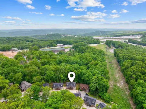View/Area - 123 Willow Oak Ln, Branson, MO 65616 photo 6 of 8