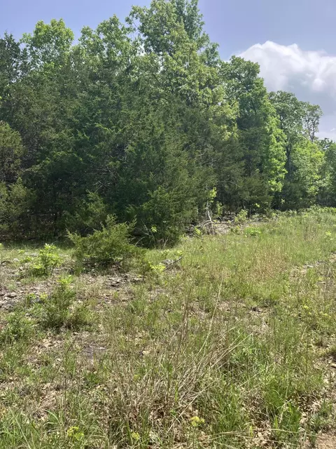 000 County Road V-234, Drury, MO 65638 photo 2