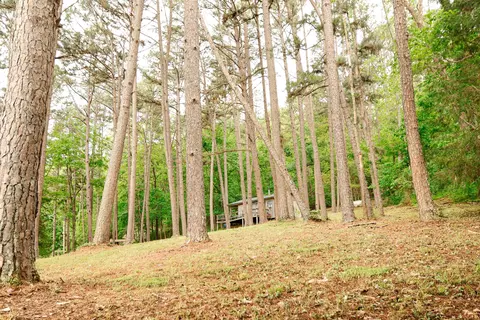 Exterior - 876 County Road 368, Dora, MO 65637 photo 2 of 3